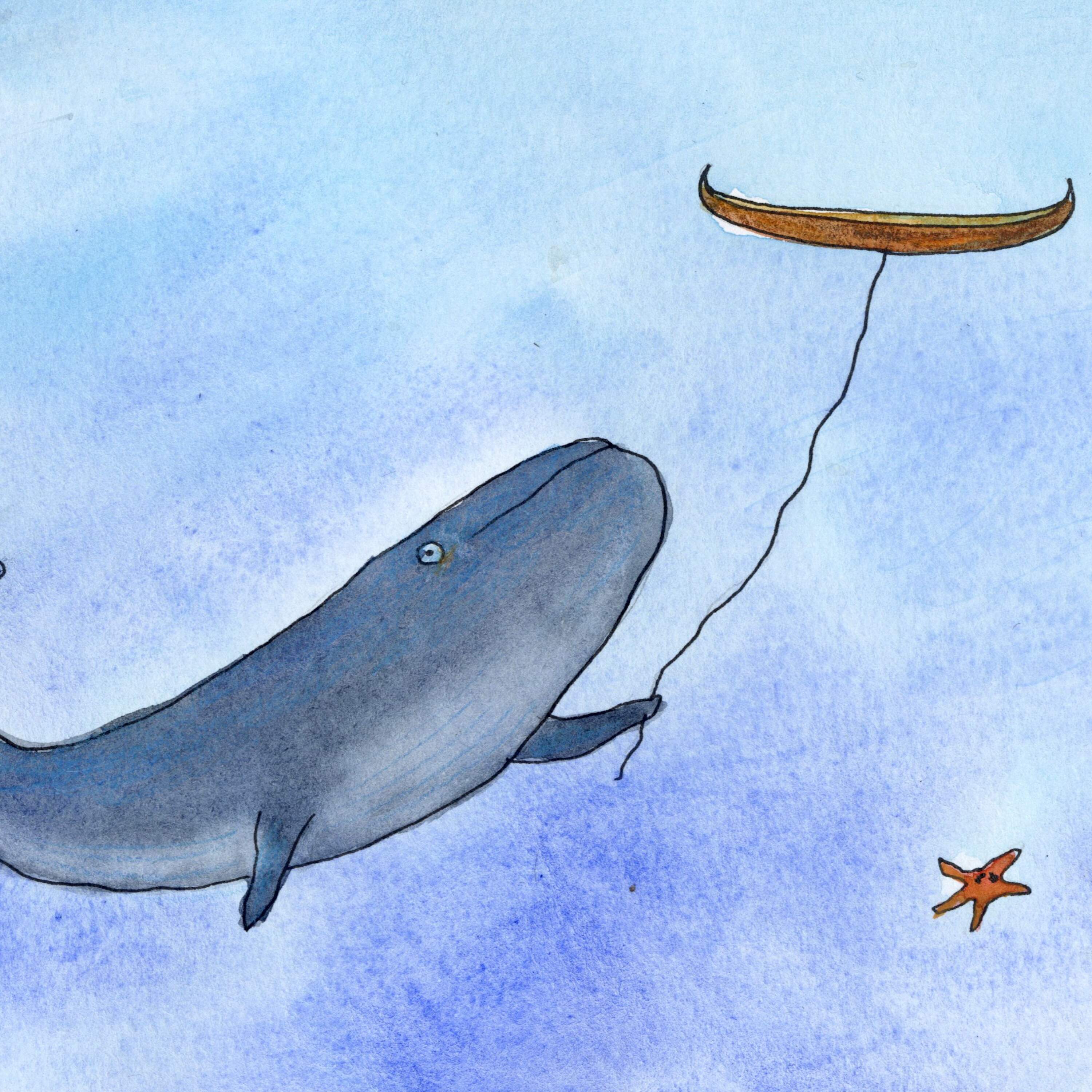 Over the Sea | Ep. 311