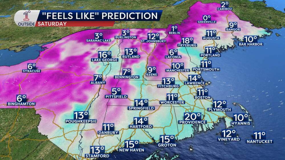 The "feels like" high temperatures expected for Saturday, Jan. 31, 2026. (Danielle Noyes/1DegreeOutside)