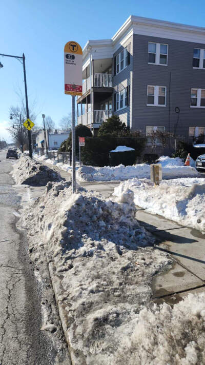 An MBTA bus stop on Hyde Park Avenue in Jamaica Plain on Feb. 4. (Andrea Perdomo Hernandez/WBUR)