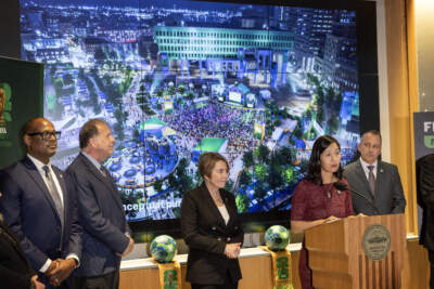Boston's World Cup fan festival will be free, organizers say