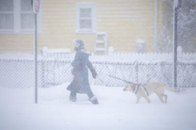 Gov. Healey bans non-essential travel in southeastern Mass. as blizzard dumps snow and knocks out power