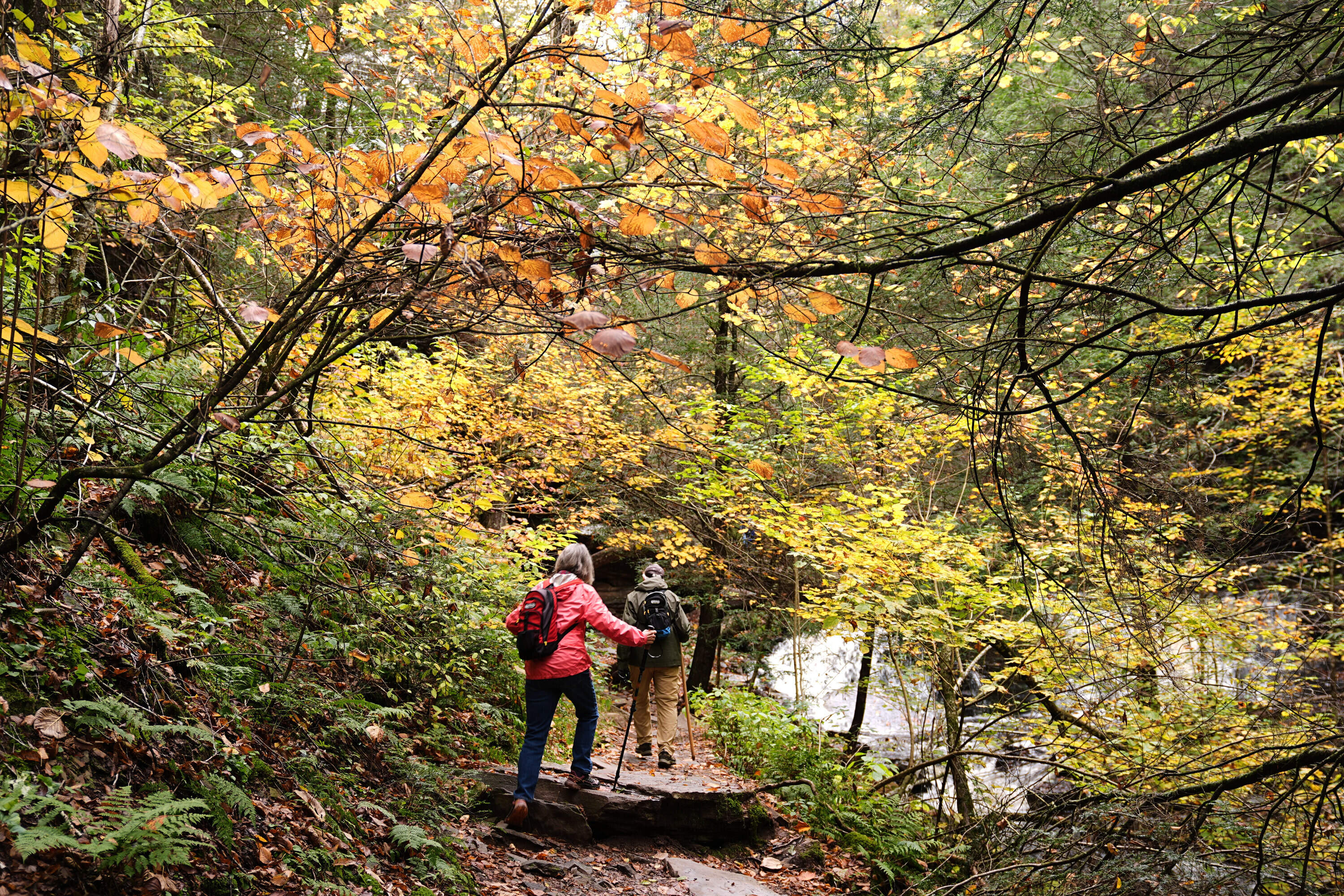 Hikers move amongst the fall foliage at Ricketts Glen State Park in Benton, Pa., Tuesday, Oct. 14, 2025. (Matt Rourke/AP)