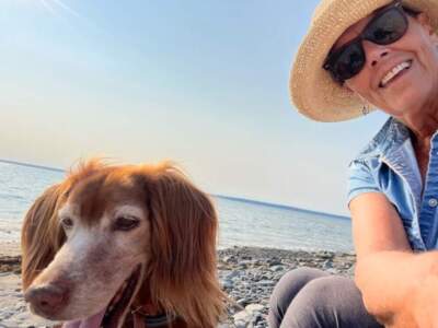 My dog Belle is at the end of her life, and I am walking her home