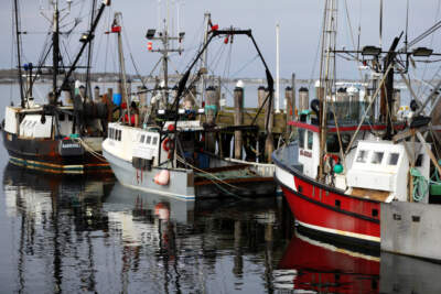 8 people released from hospital after carbon monoxide exposure on Provincetown fishing boat