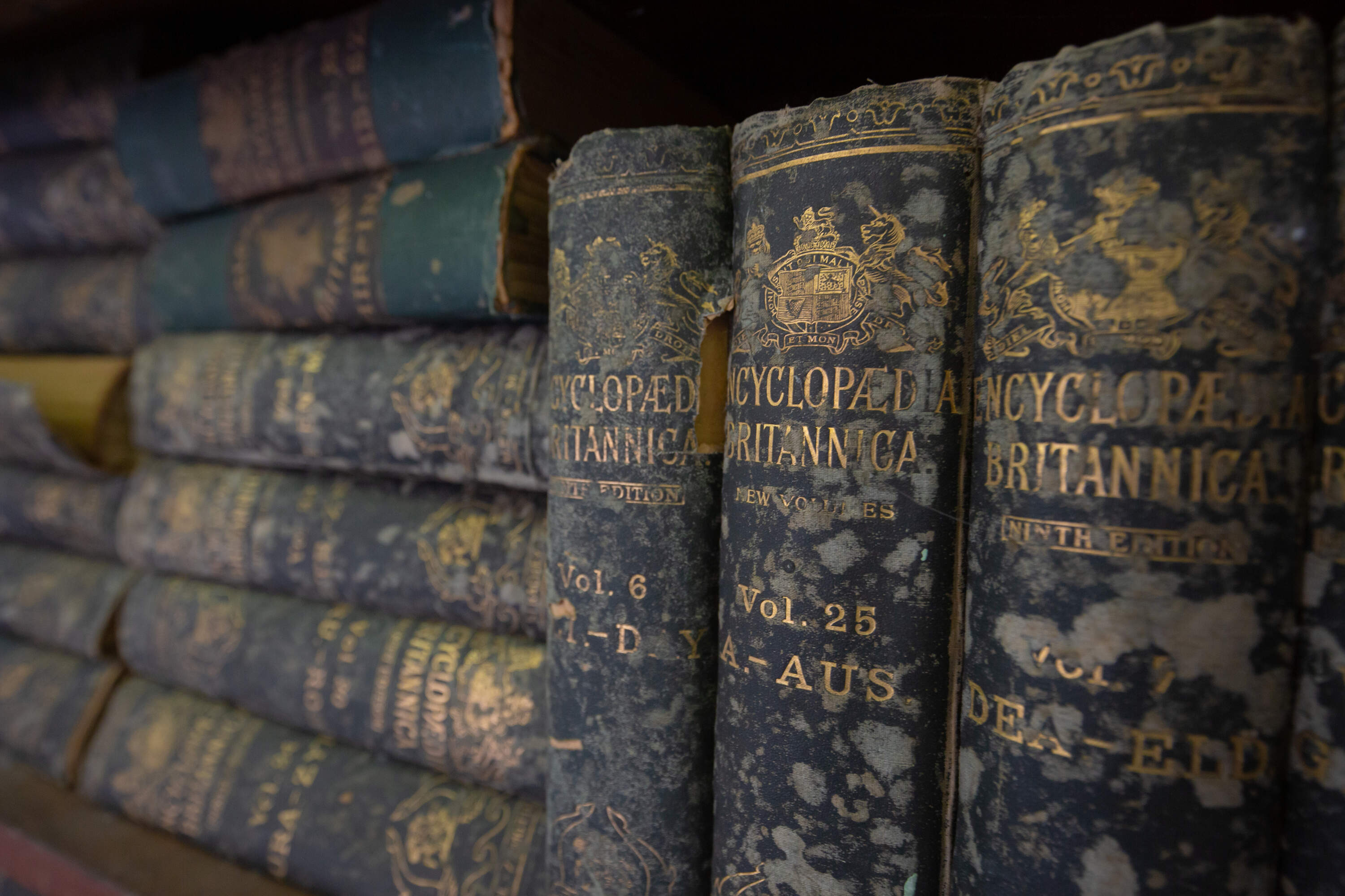 The spines of the ninth edition of the Encyclopedia Britannica published between 1875 to 1889 in 25 volumes sits on a shelf. (Abhishek Chinnappa/Getty Images)