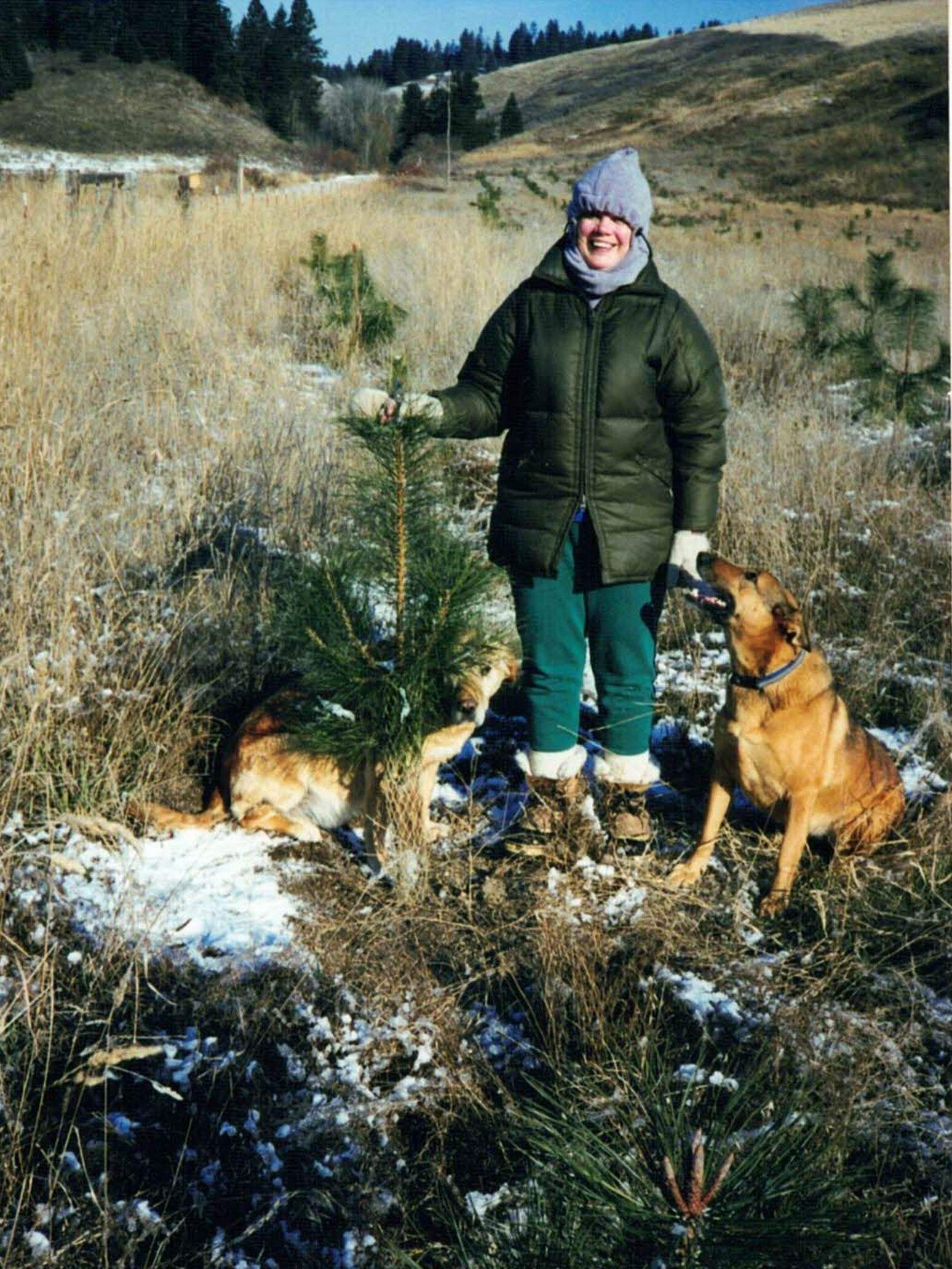 Planting in 2000. (Courtesy of Lynn and Becky Miner)