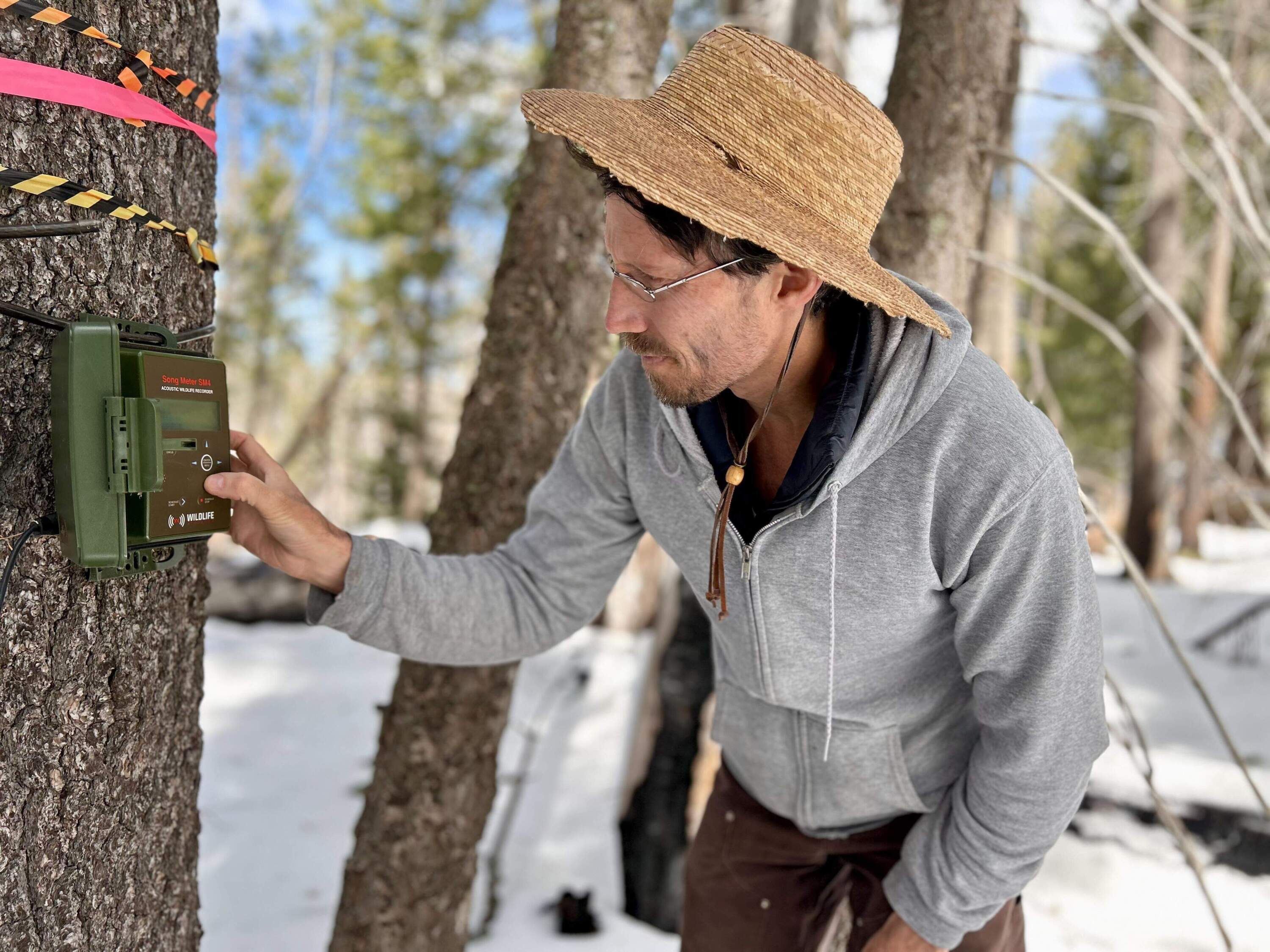 University of Arizona researcher Bret Pasch inspects a squirrel midden near the top of Mt. Graham. (Peter O'Dowd/Here & Now)