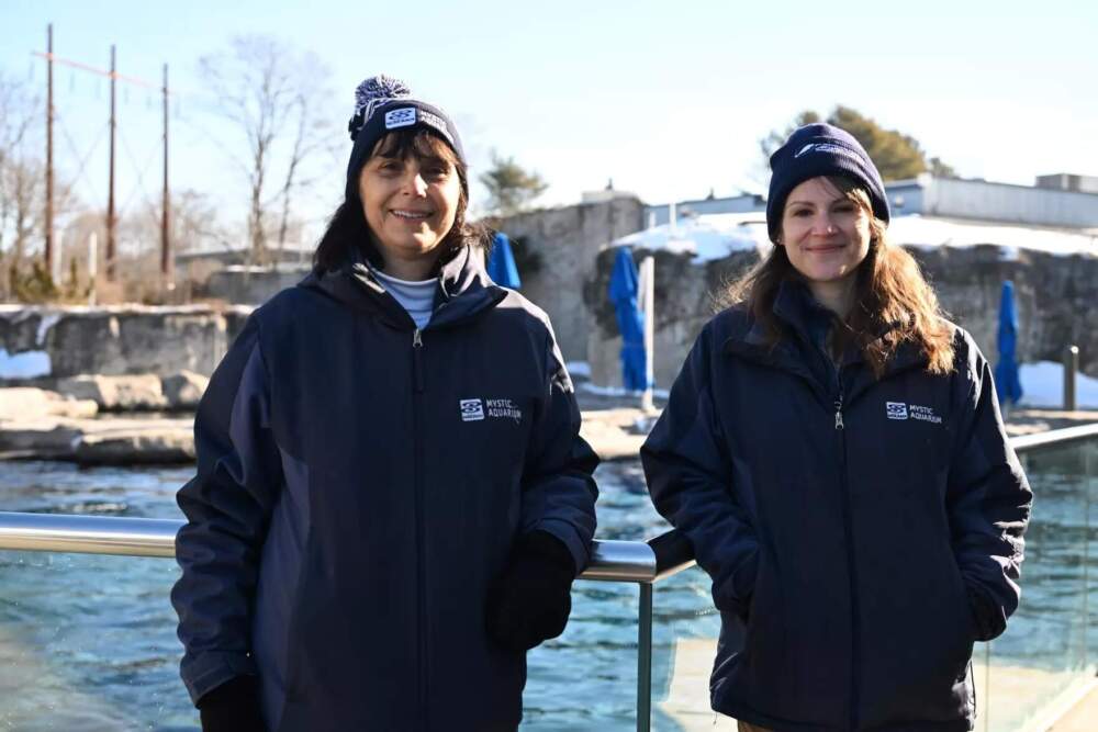 Dr. Tracy Romano, Mystic Aquarium's Vice President of Biological Research and Chief Scientist (left) and Dr. Laura Thompson, Mystic Aquarium's Research Scientist (right) outside of the Beluga Whale tank at Mystic Aquarium in Mystic, CT on February 5, 2026. (Ayannah Brown/Connecticut Public)