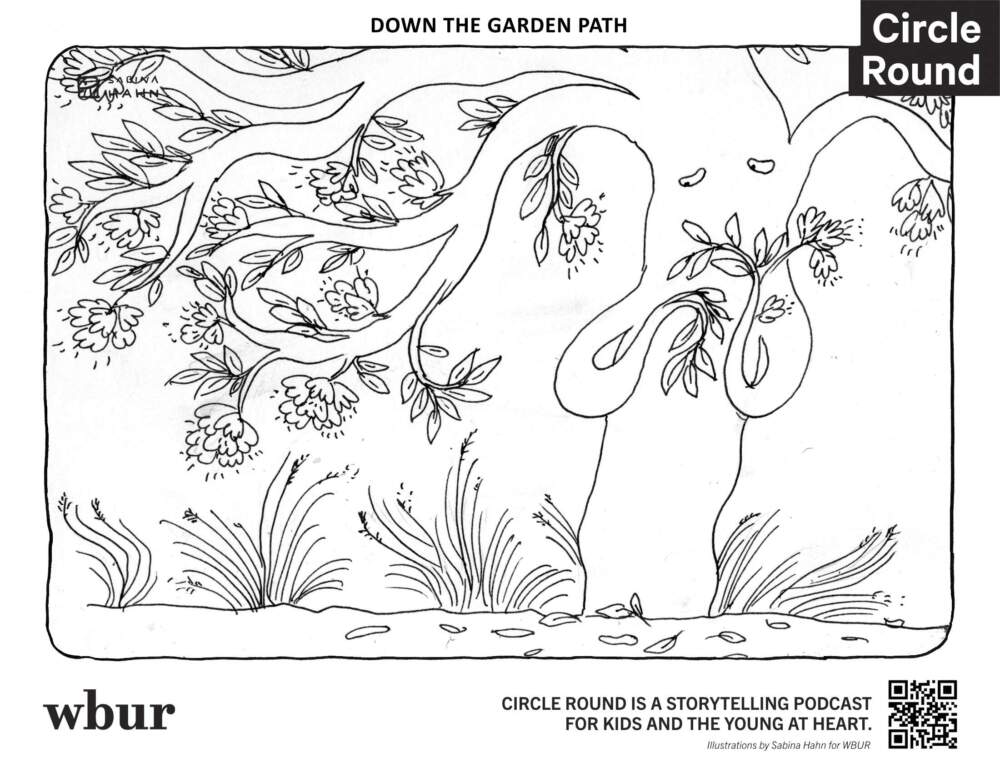 A tree. (Sabina Hahn for WBUR)