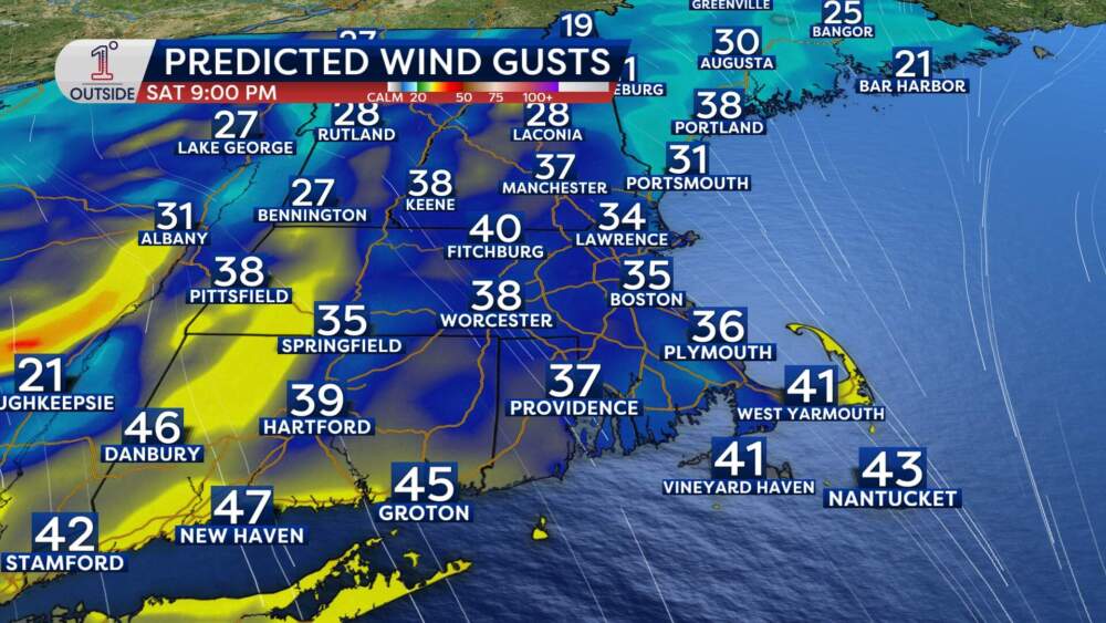 Predicted wind gusts for Saturday at 9 p.m. (Danielle Noyes/1DegreeOutside)