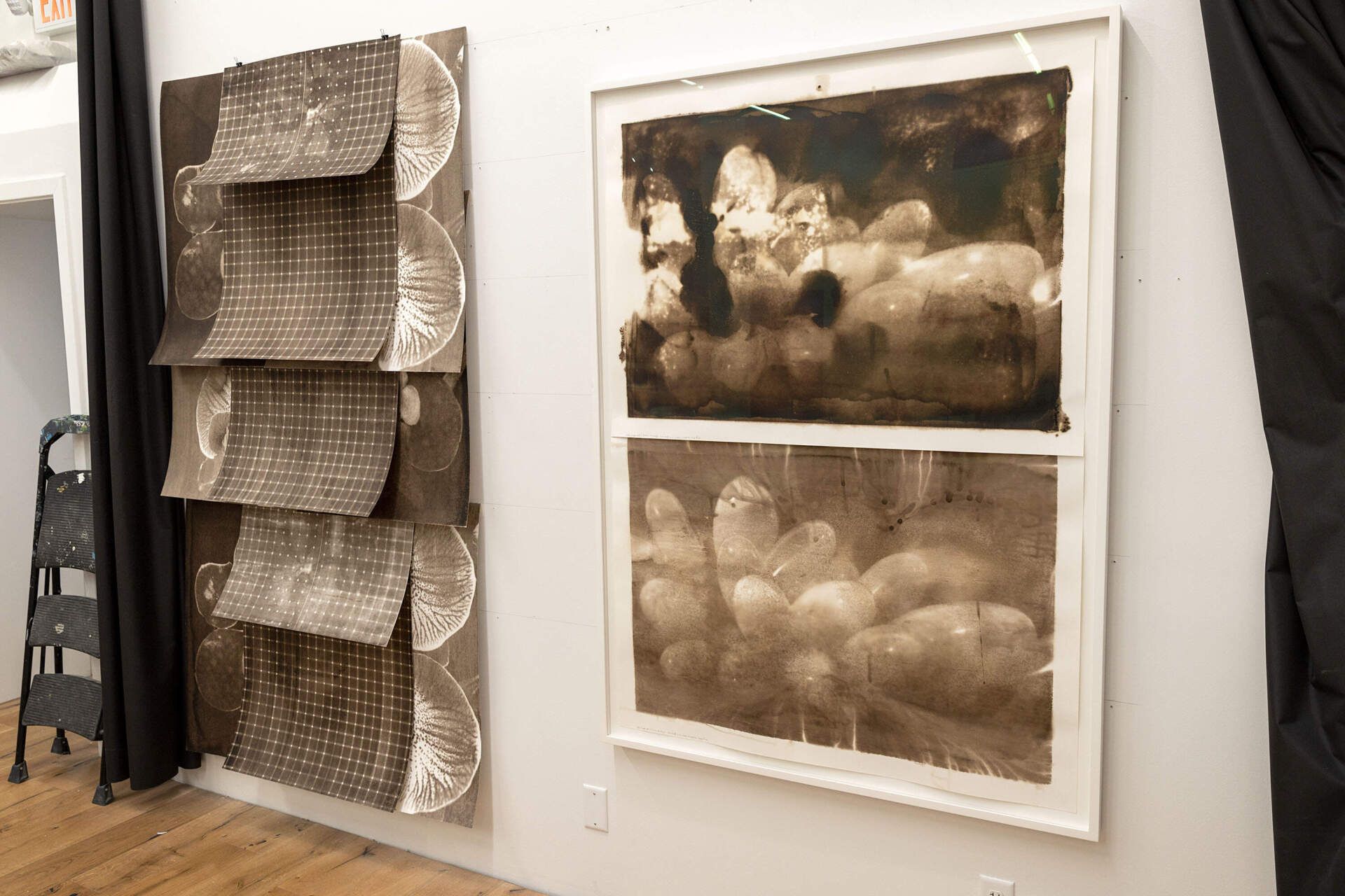 Melanin prints and bacterial melanin prints hang on the wall at artist Lucy Kim's studio in Somerville, Mass. (Robin Lubbock/WBUR)