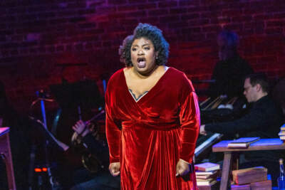 After years of roving, the Boston Lyric Opera celebrates its new home