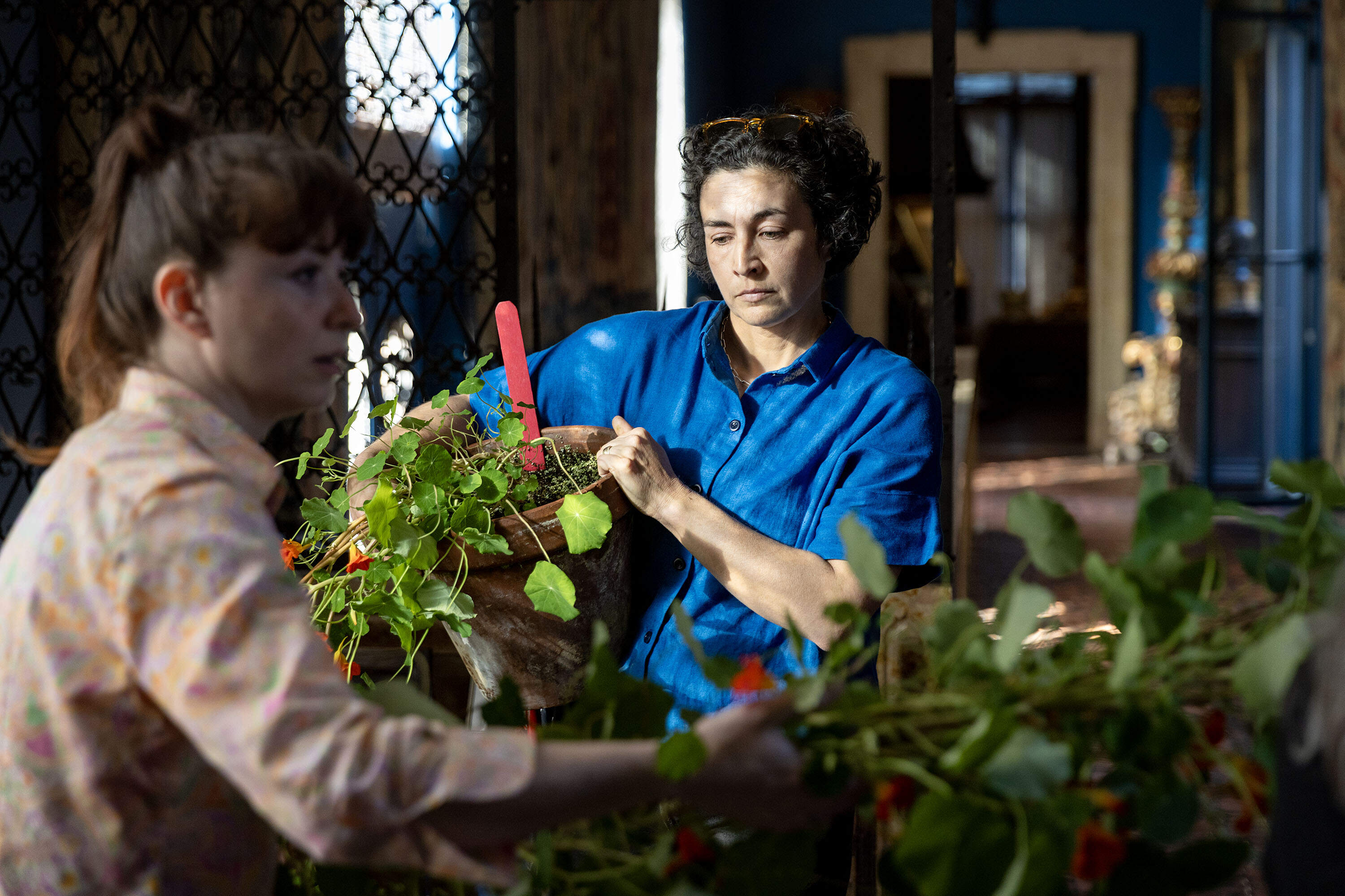 Director of Horticulture Erika Rumbley carries a pot at the base of a string of nasturtium vines through the hallways of the courtyard at the Isabella Stewart Gardner Museum. (Robin Lubbock/WBUR)
