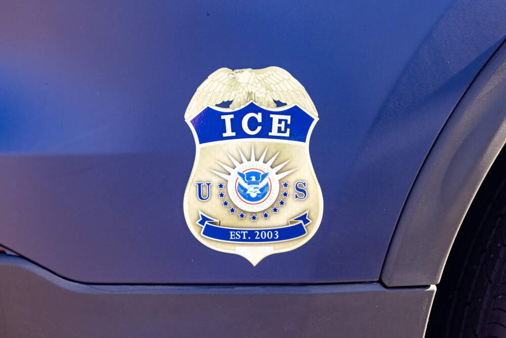 The ICE emblem on the side of a Homeland Security vehicle. (Jesse Costa/WBUR)