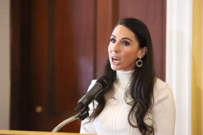 Auditor DiZoglio’s lawsuit over auditing the Legislature moves to full Supreme Judicial Court