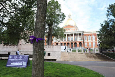 Massachusetts launches new dashboard to track opioid settlement spending