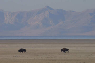 How to find glory in the ordinary