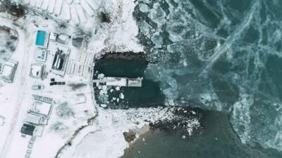 Winter is peak oyster time. Deep freezes this season took a toll in Mass.