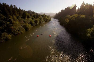 The effort to restore California's Russian River