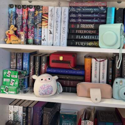 Sexy spines or literary red flags: Reddit's bookshelf detectives will judge you by your covers