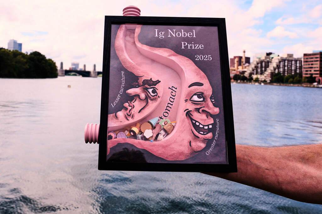 An 2025 Ig Nobel award, awarded by the Annals of Improbable Research magazine for silly sounding scientific discoveries that often have surprisingly practical applications, is displayed, Sept. 17, 2025, in Boston. (Charles Krupa/AP)