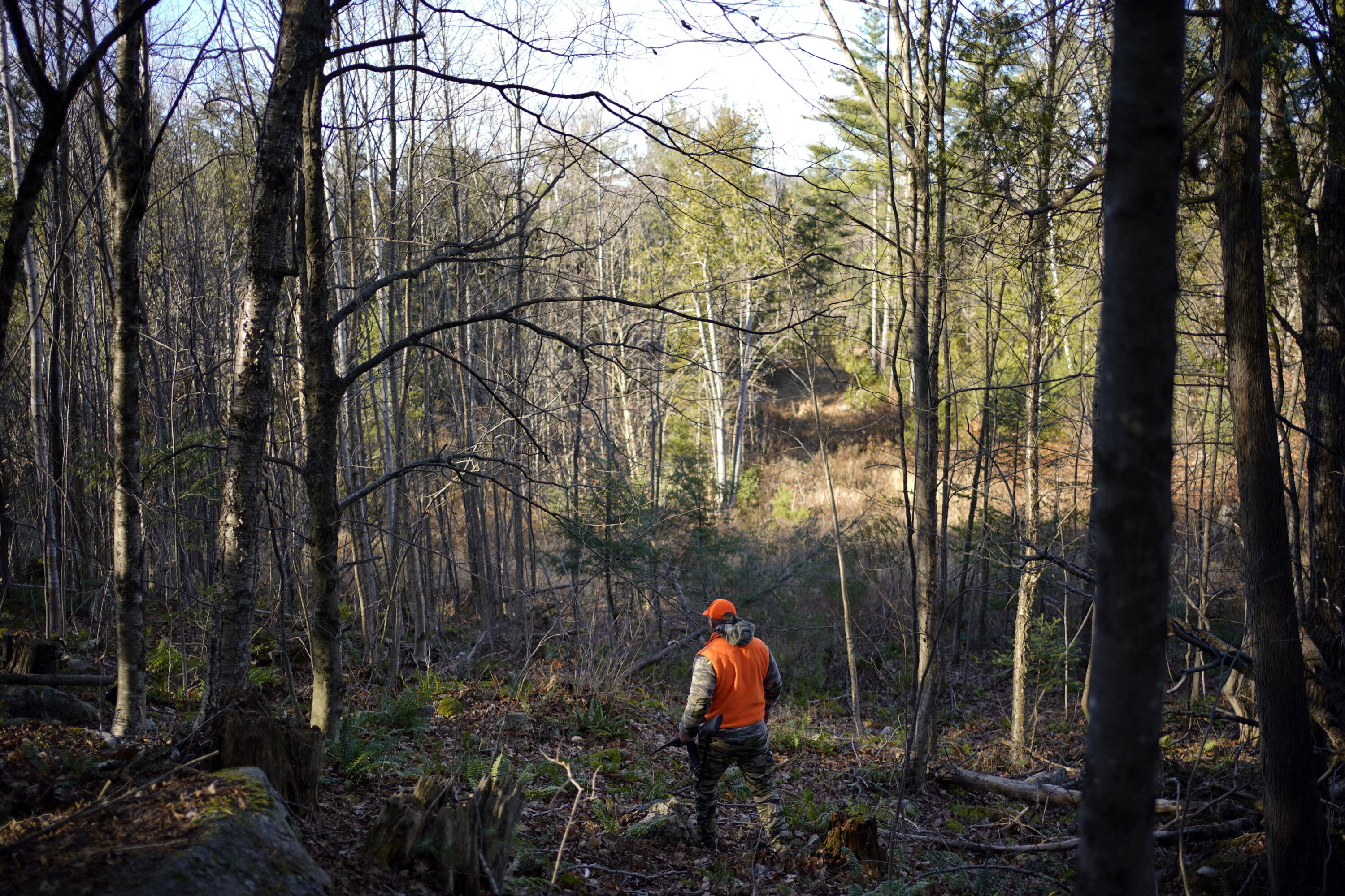 A hunter walks through the woods in Maine — one of the two states, along with Massachusetts, that has a outright ban on hunting on Sundays.