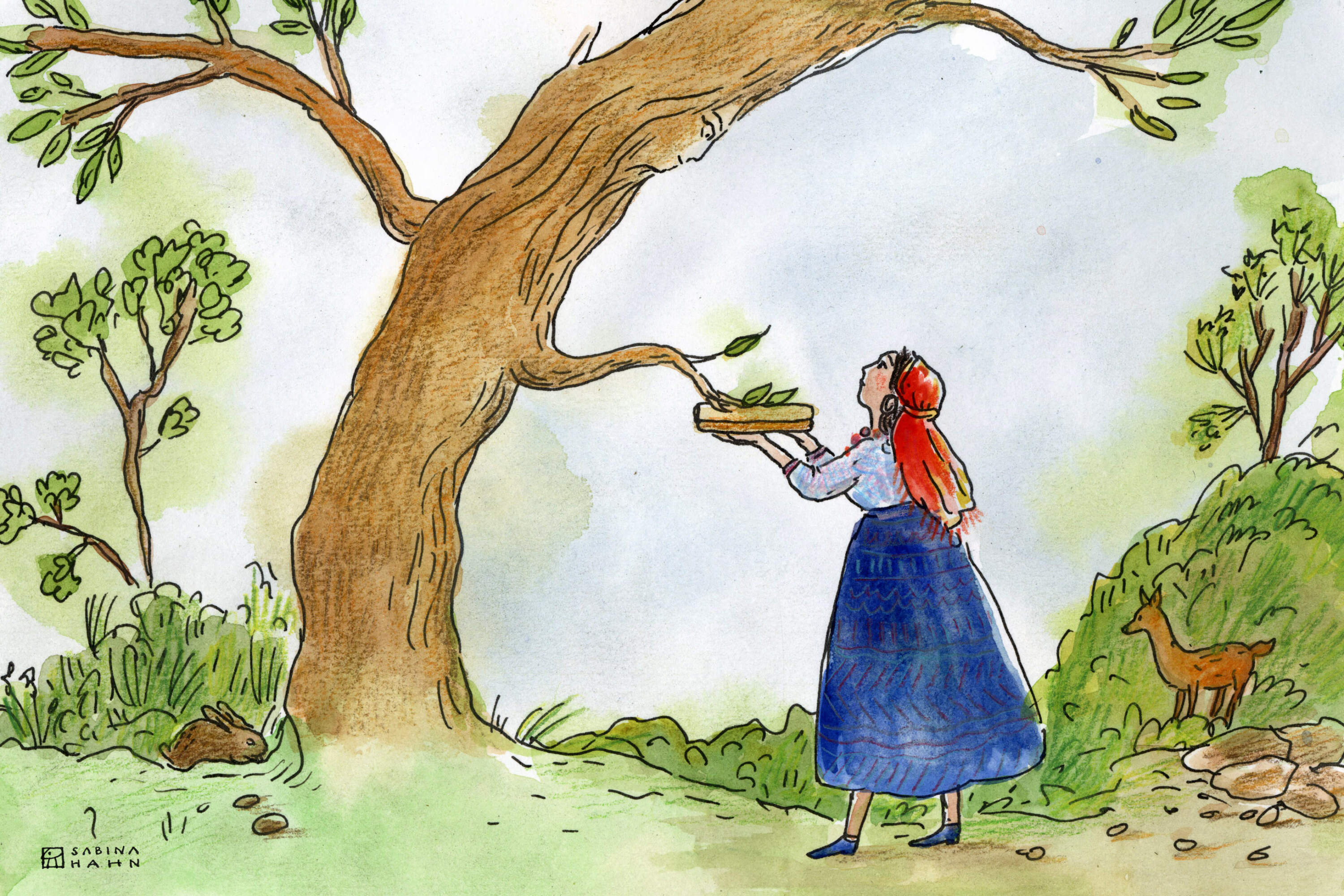 A woman and a beech tree. (Sabina Hahn for WBUR)