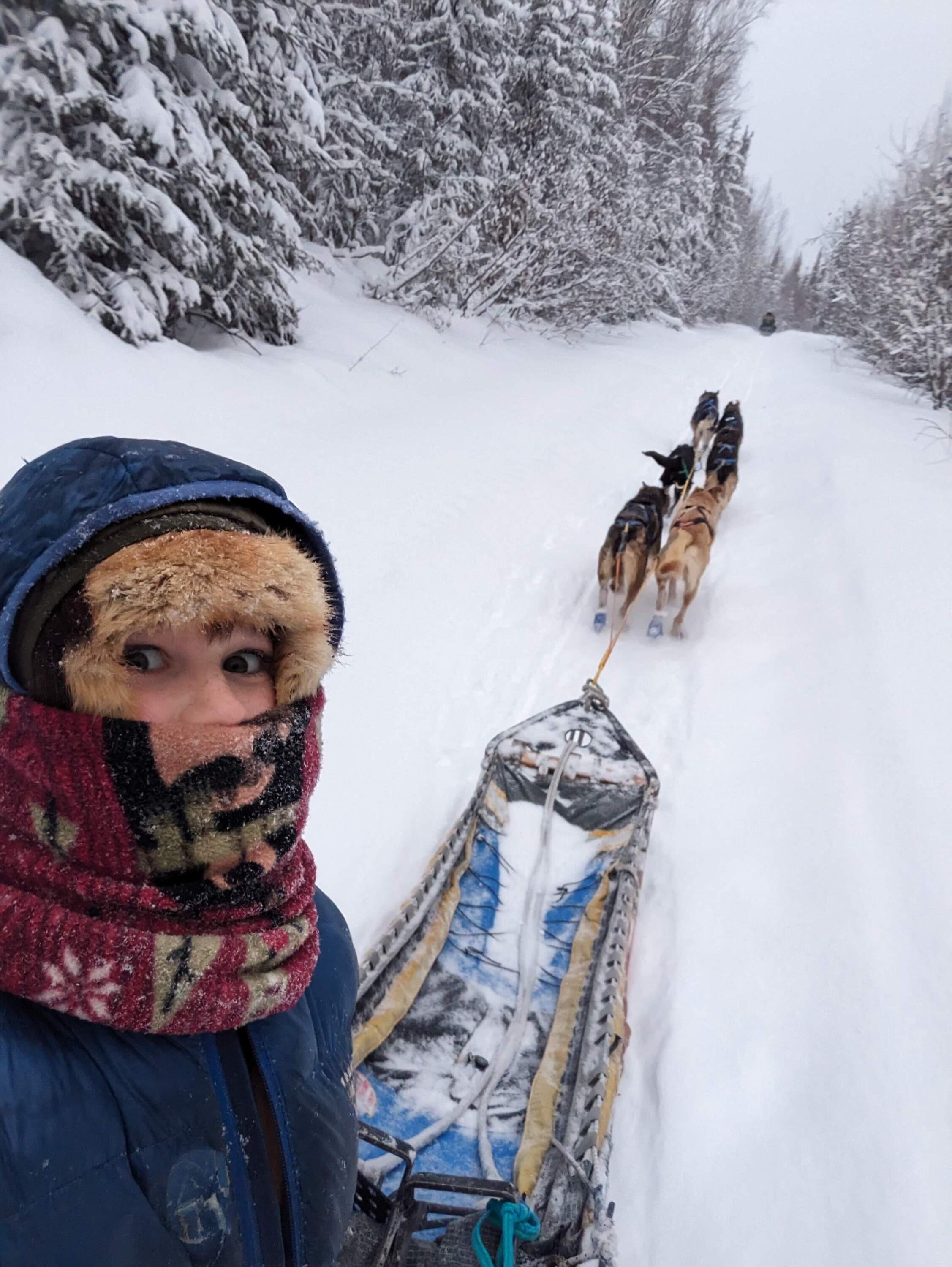 Emily Robinson and her sled dogs. (Courtesy of the Robinson family)