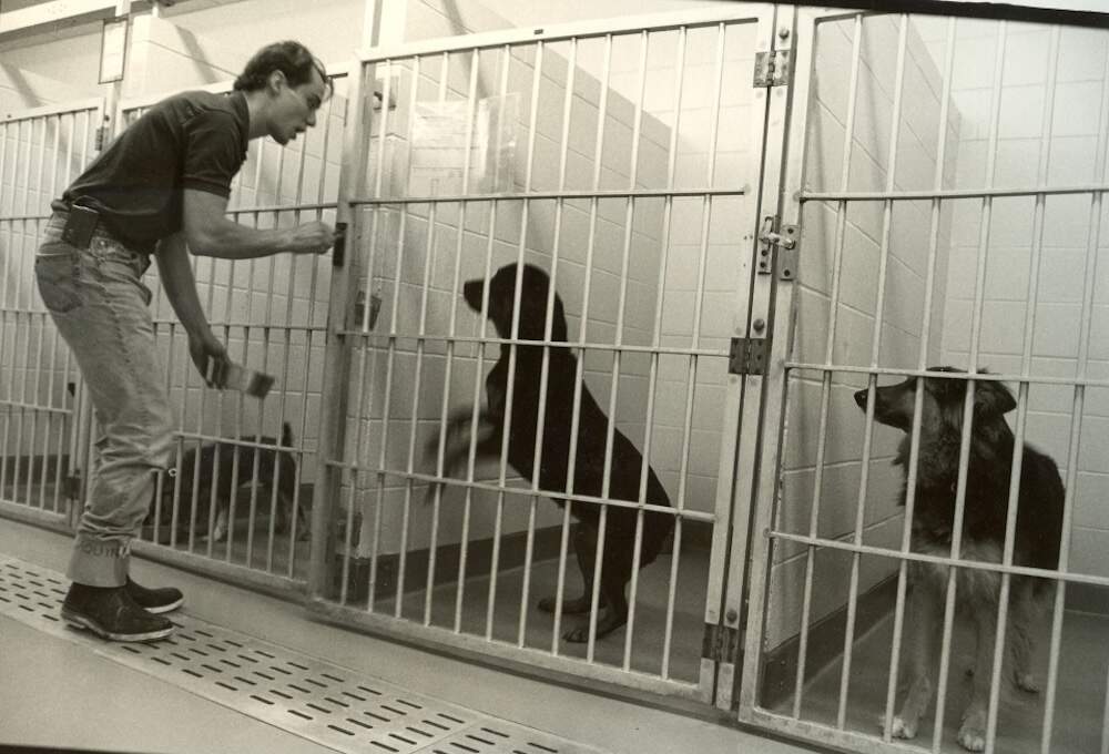 Scott Giacoppo working with animals at the MSPCA shelter in Boston in the 1990s. (Courtesy of Scott Giacoppo)