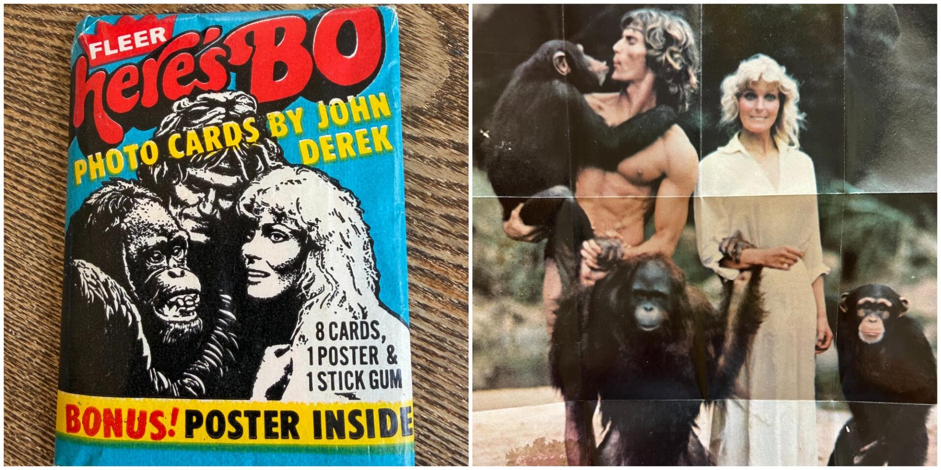 eishockey adler mannheim eisbären berlin