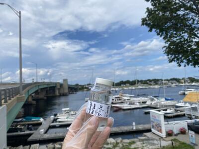 There's a lot of fecal bacteria in Newburyport Harbor in the summer. Nobody knows why
