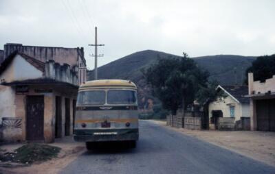 Essay: Growing up in Brazil, language told my family’s story