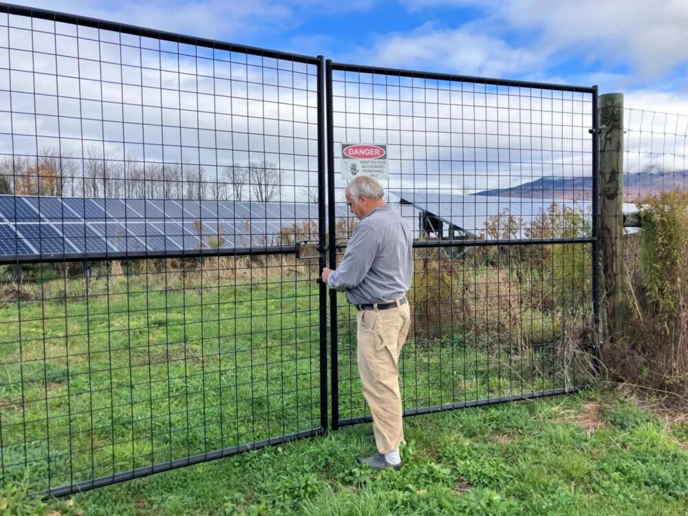 Mike Kiernan, co-founder of Bee the Change, opens the gate to a solar site in Stowe on Oct. 21, 2025. (Maeve Fairfax/Vermont Public Community News Service)