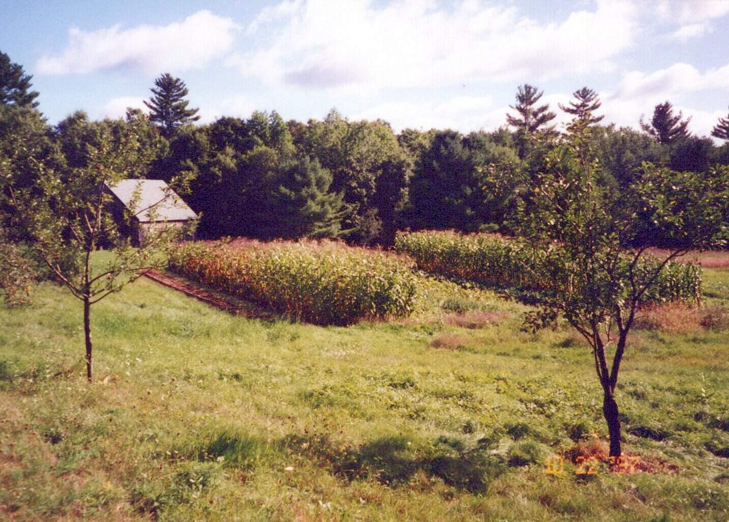 Jennifer Acker's family's farmland in Whitefield, Maine. (Courtesy Jennifer Acker)