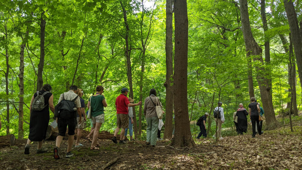 In July 2024, Jacek Smolicki led a soundwalk through the Arboretum, inviting participants to hear the sounds of trees and other nearby ecosystems. (Courtesy Jacek Smolicki)