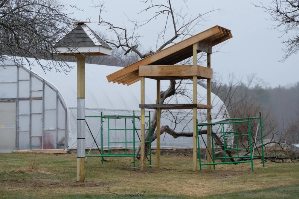 The alternative structures built in Rye, near the historic Goss Farm barn, for barn swallows when they return to the Seacoast this spring. (Todd Bookman/NHPR)