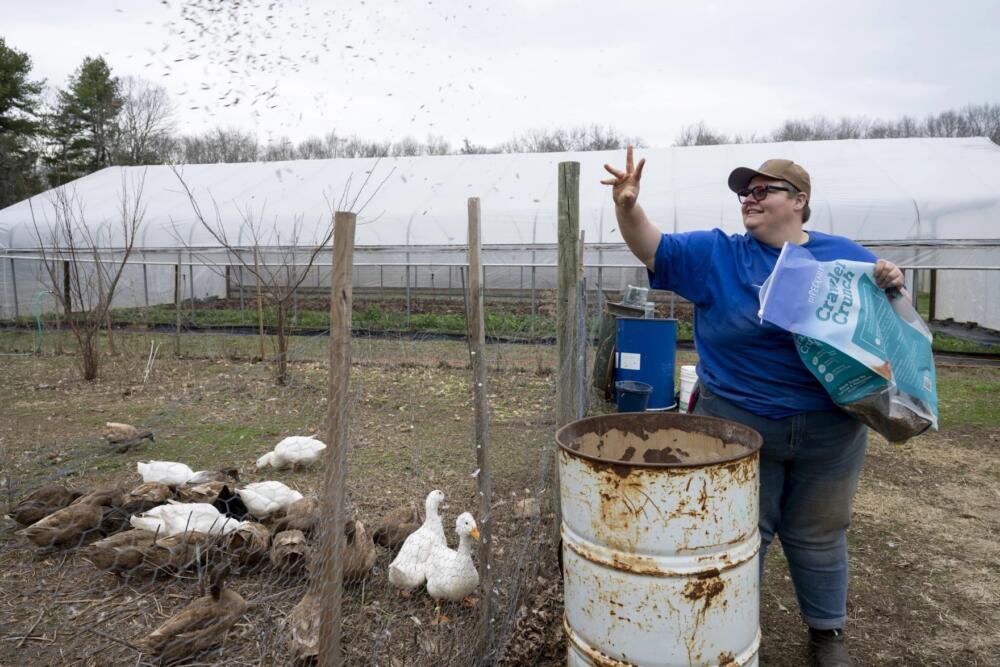 Baylee Drown, farmer and operator of Long Table Farm, feeds their ducks in Lyme, Connecticut. (Raquel C. Zaldívar/New England News Collaborative)