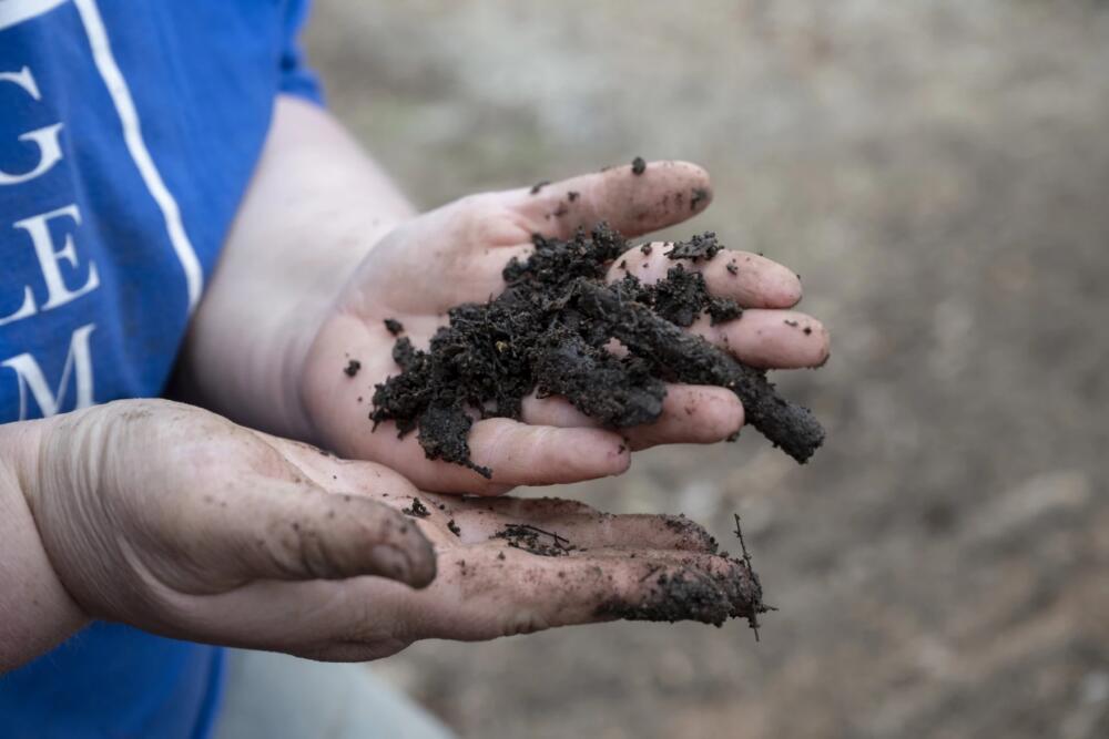 Baylee Drown holds compost at their farm in Lyme, Connecticut. (Raquel C. Zaldívar/New England News Collaborative)