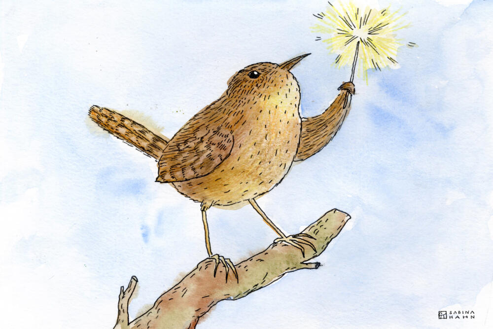 A bird with a spark. (Sabina Hahn for WBUR)