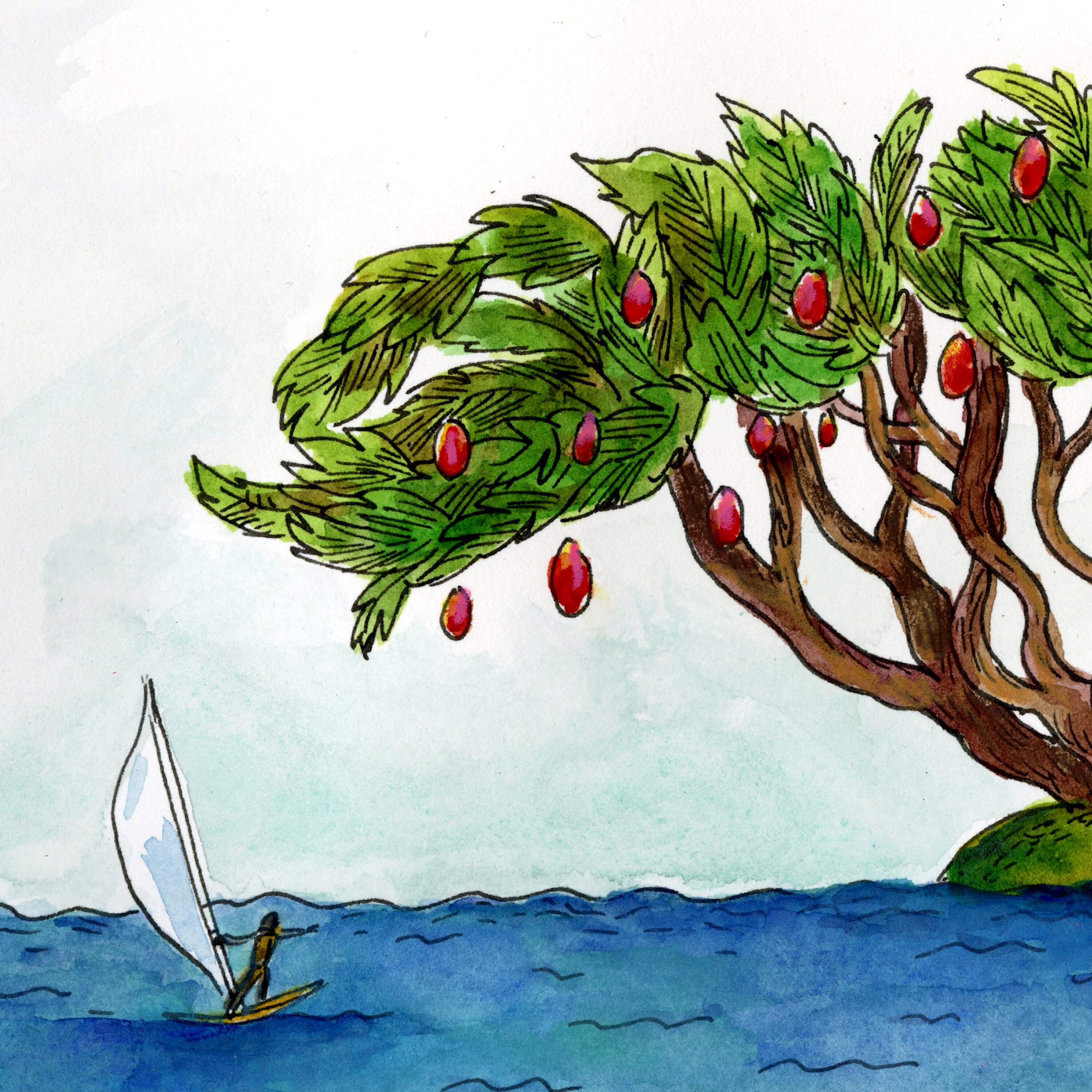 Encore: The Magic Touch