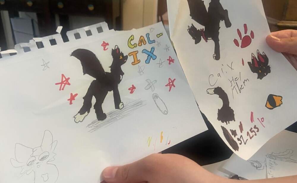 Bug shows off his drawings. (Karen Brown/NEPM)