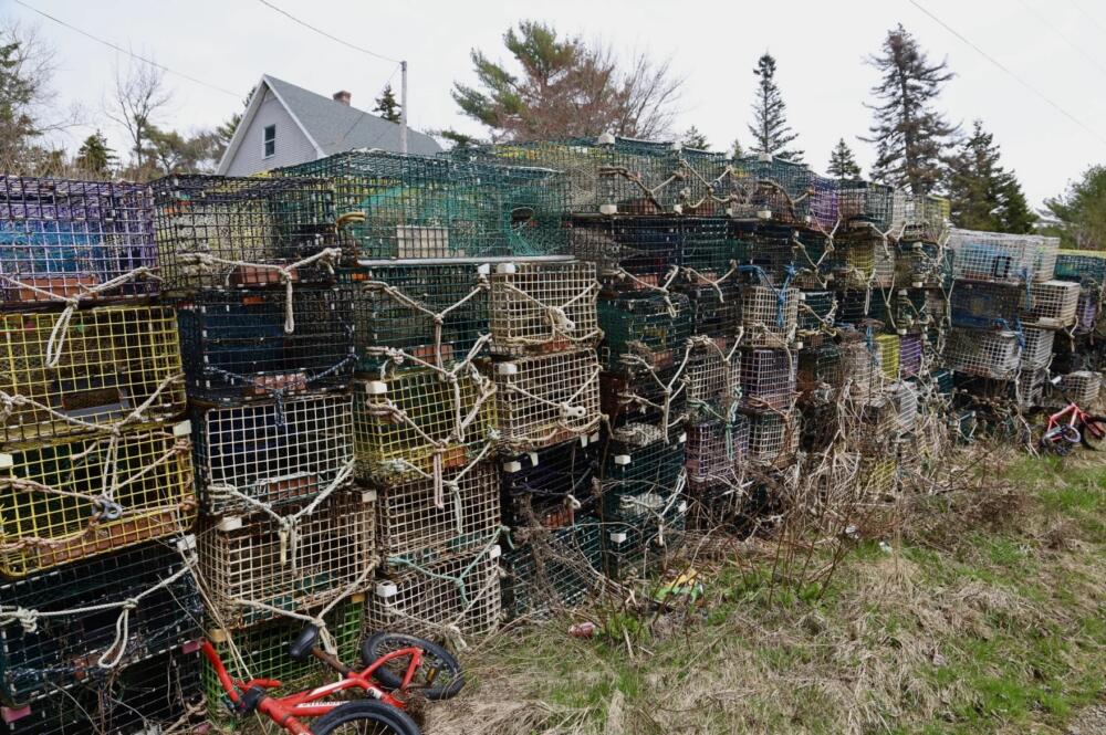 Old lobster traps are stacked high in front yards around Vinalhaven. The non-profit OceansWide estimates there could be as many as 60,000 traps on the island that could be removed and recycled. (Tulley Hescock/Maine Public)