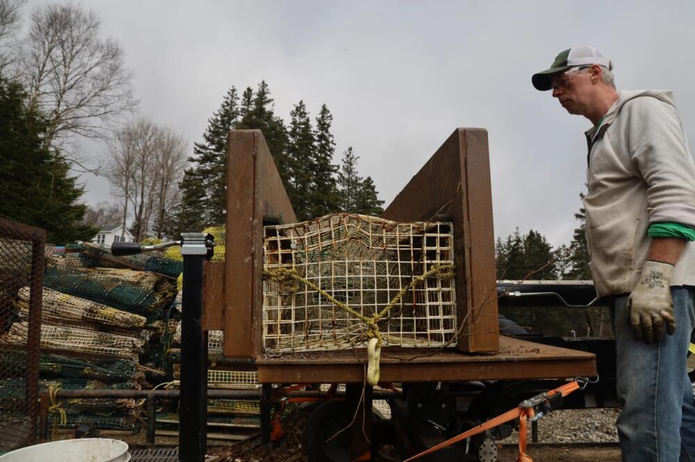 Vinalhaven fishermen Flinn Robinson guides a derelict fishing pot through the trap crusher. The crushed traps are loaded onto a dump truck and onto the ferry boat, which are taken to a recycling facility on the mainland. (Tulley Hescock/Maine Public)