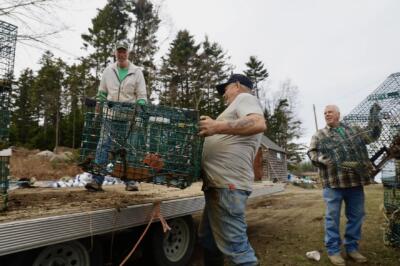 Fishermen have recycled thousands of old lobster traps on from a Maine island this winter