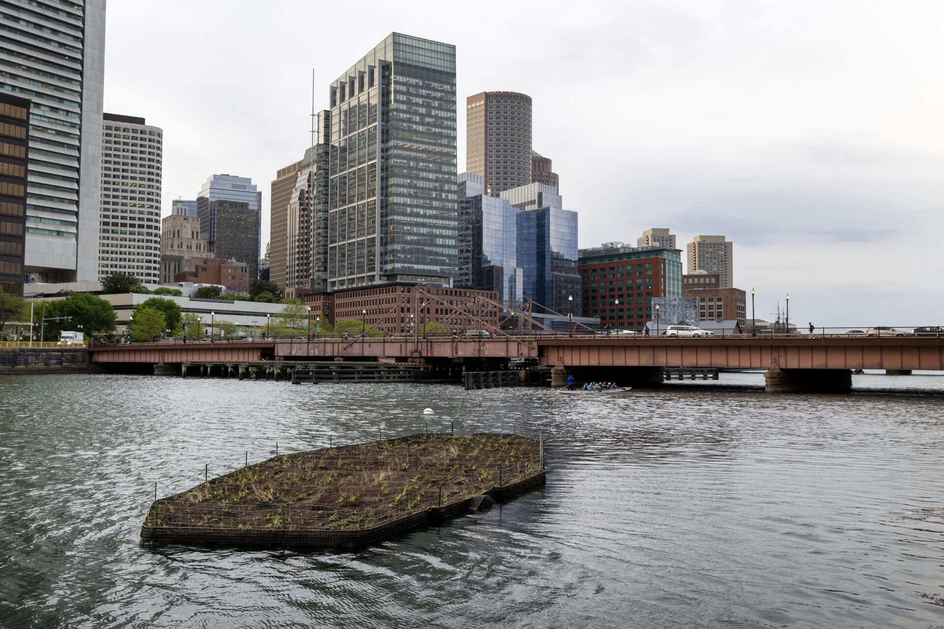 The newly constructed and planted living island floats in Boston's Fort Point Channel. (Robin Lubbock/WBUR)