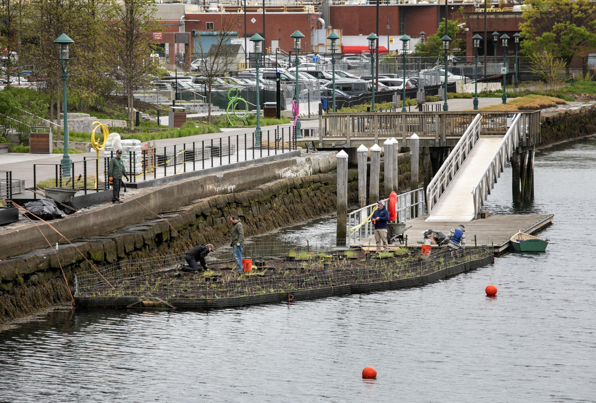 Biomatrix Water staff and volunteers work on planting grasses and other marsh plants on the newly constructed floating wetland in Boston's Fort Point Channel. (Robin Lubbock/WBUR)