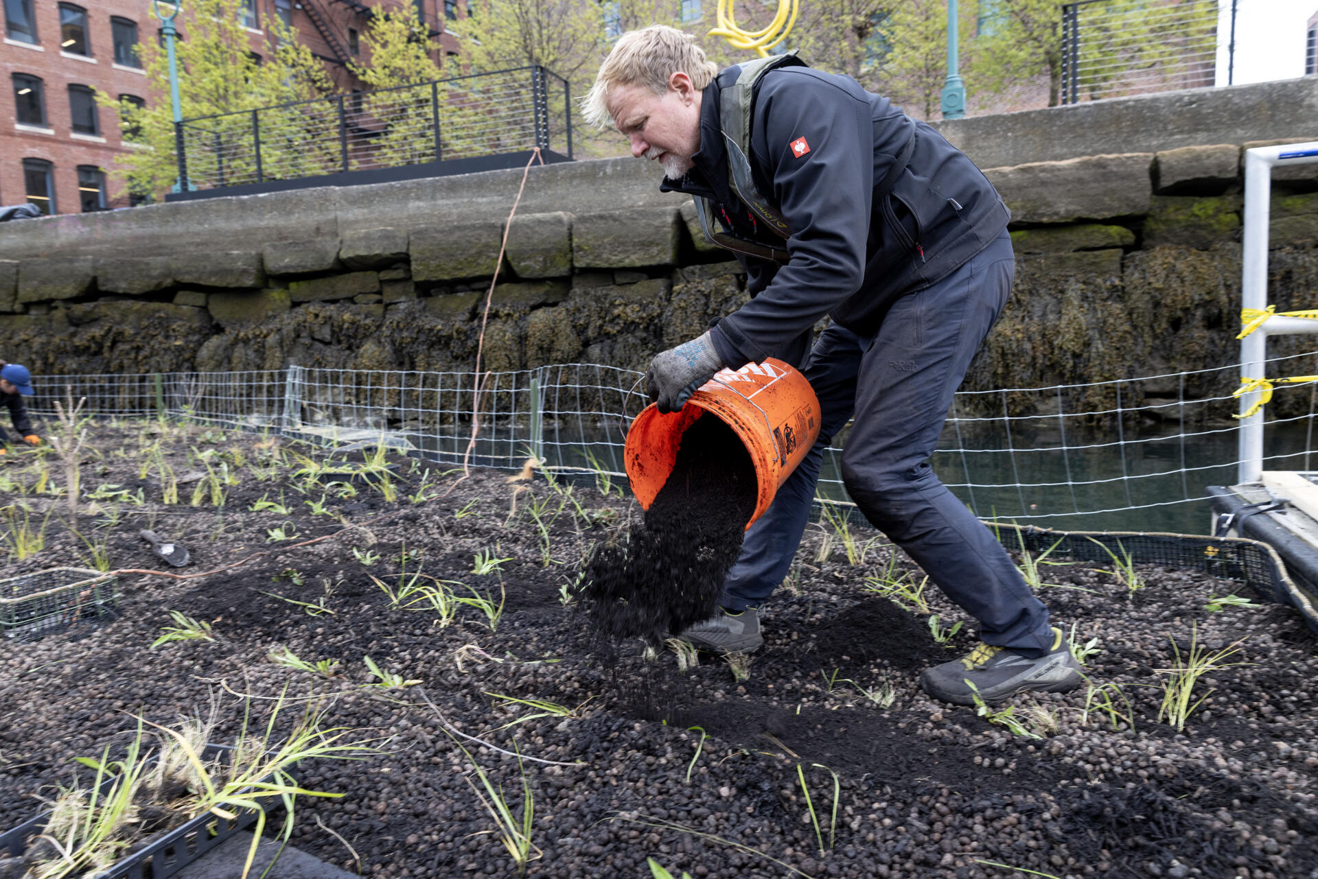 Biomatrix Water engineer Galen Fulford spreads mulch in grooves on the floating wetland has he plants grasses and other marsh plants on the structure. (Robin Lubbock/WBUR)