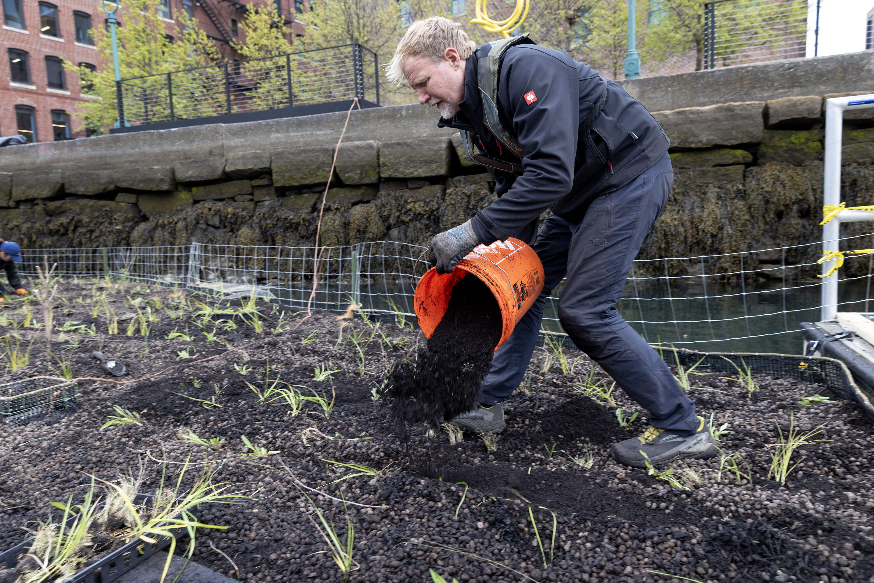 Biomatrix Water engineer Galen Fulford spreads mulch in grooves on the floating wetland has he plants grasses and other marsh plants on the structure. (Robin Lubbock/WBUR)