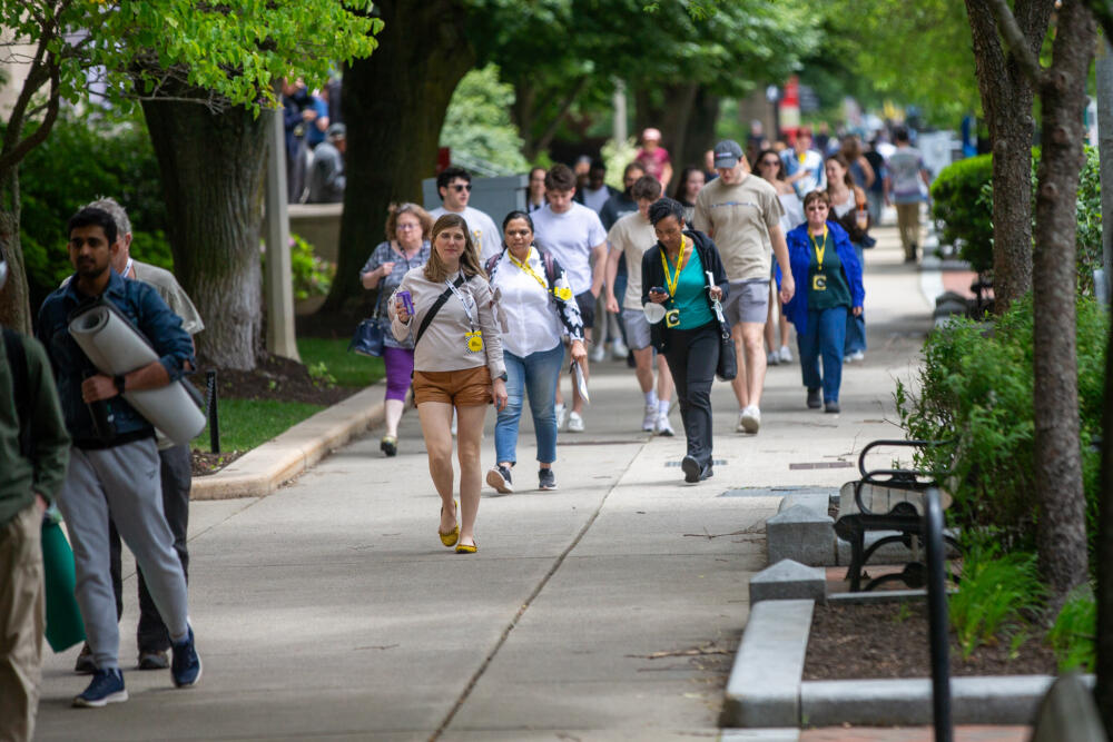 Festival goers walk down Commonwealth Avenue between events at The WBUR Festival in 2025. (Jesse Costa/WBUR)