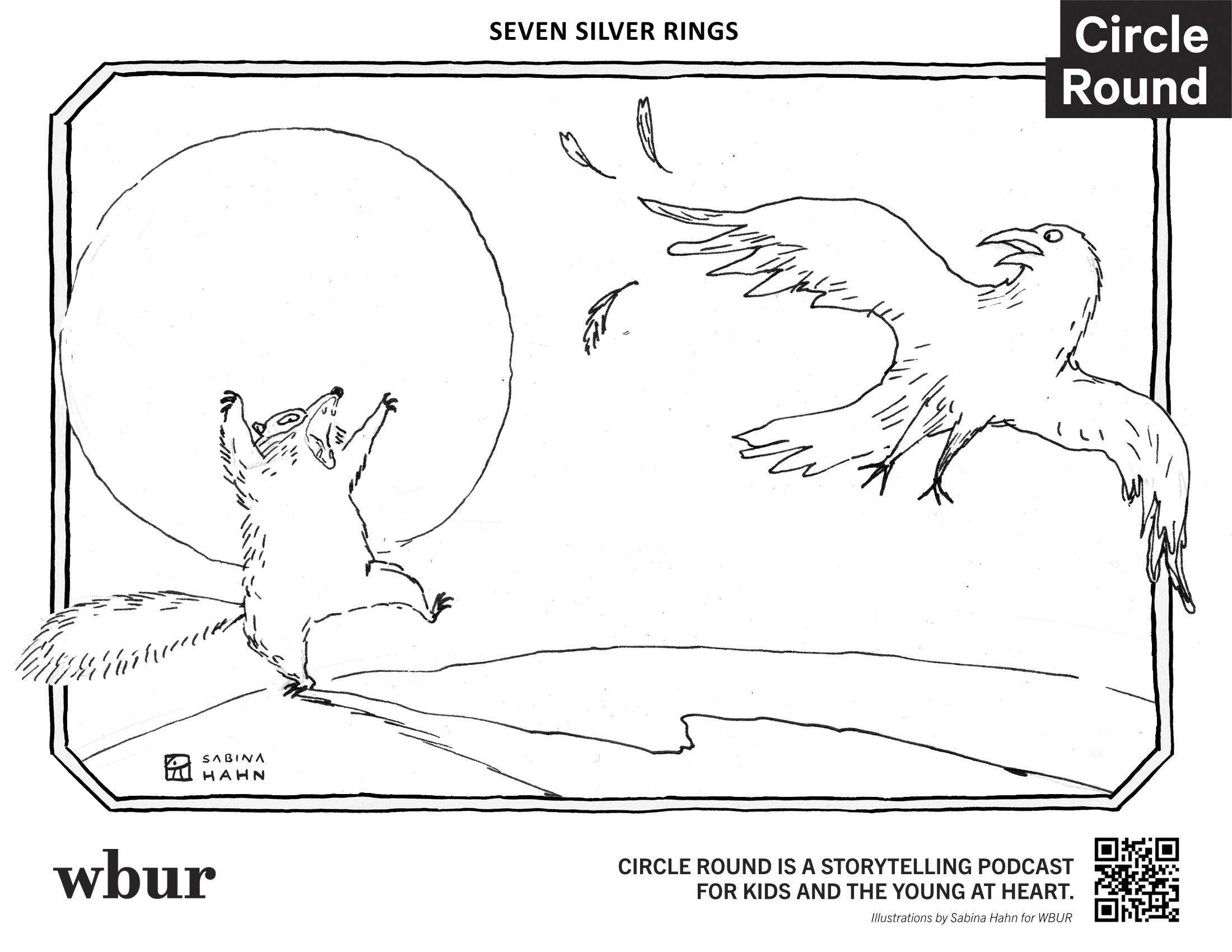 A raccoon and a bird. (Sabina Hahn for WBUR)